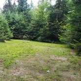 Review photo of Beech Hill Campground and Cabins by Jean C., August 19, 2019