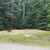 Review photo of Beech Hill Campground and Cabins by Jean C., August 19, 2019