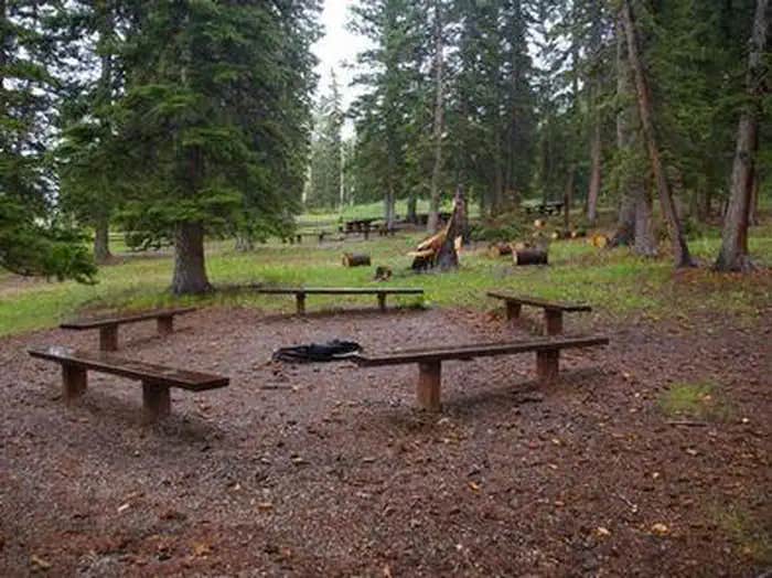 Camper submitted image from Iron Springs Group Campground - Ashley National Forest - 1