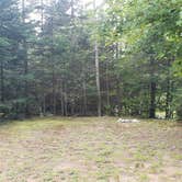 Review photo of Beech Hill Campground and Cabins by Jean C., August 19, 2019