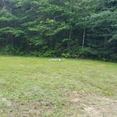 Review photo of Beech Hill Campground and Cabins by Jean C., August 19, 2019