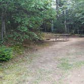 Review photo of Beech Hill Campground and Cabins by Jean C., August 19, 2019