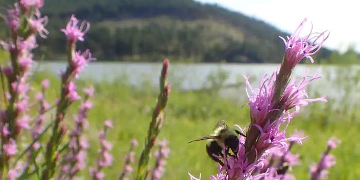 Camper submitted image from Sheridan North Cove Group Campground