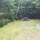 Review photo of Beech Hill Campground and Cabins by Jean C., August 19, 2019