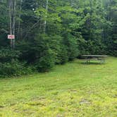 Review photo of Beech Hill Campground and Cabins by Jean C., August 19, 2019