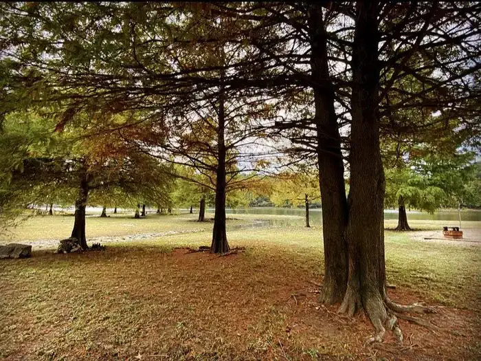 Camper-submitted photo at Peoples Creek - Lake Wappapello near Poplar Bluff, MO