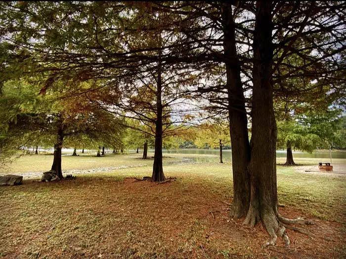 Camper submitted image from Peoples Creek - Lake Wappapello - 1