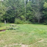 Review photo of Beech Hill Campground and Cabins by Jean C., August 19, 2019