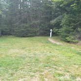 Review photo of Beech Hill Campground and Cabins by Jean C., August 19, 2019