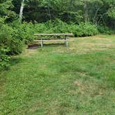 Review photo of Beech Hill Campground and Cabins by Jean C., August 19, 2019