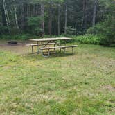 Review photo of Beech Hill Campground and Cabins by Jean C., August 19, 2019