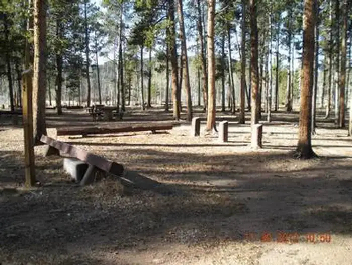 Camping near Lodgepole - Jefferson: Timberline Campground, Jefferson, Colorado