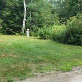 Review photo of Beech Hill Campground and Cabins by Jean C., August 19, 2019