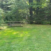 Review photo of Beech Hill Campground and Cabins by Jean C., August 19, 2019