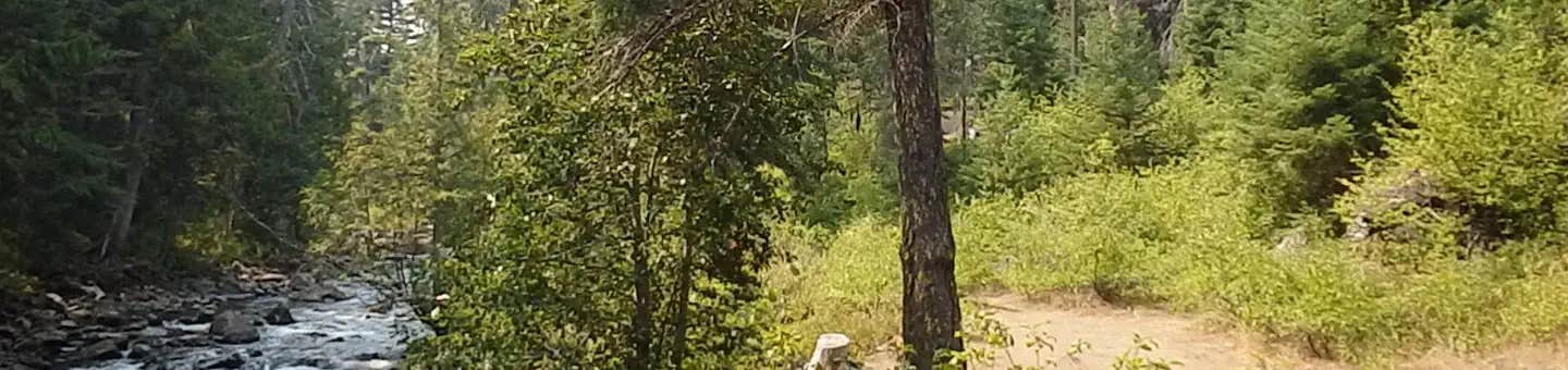 Camper submitted image from Pine Needle Group Site - 1