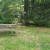 Review photo of Beech Hill Campground and Cabins by Jean C., August 19, 2019