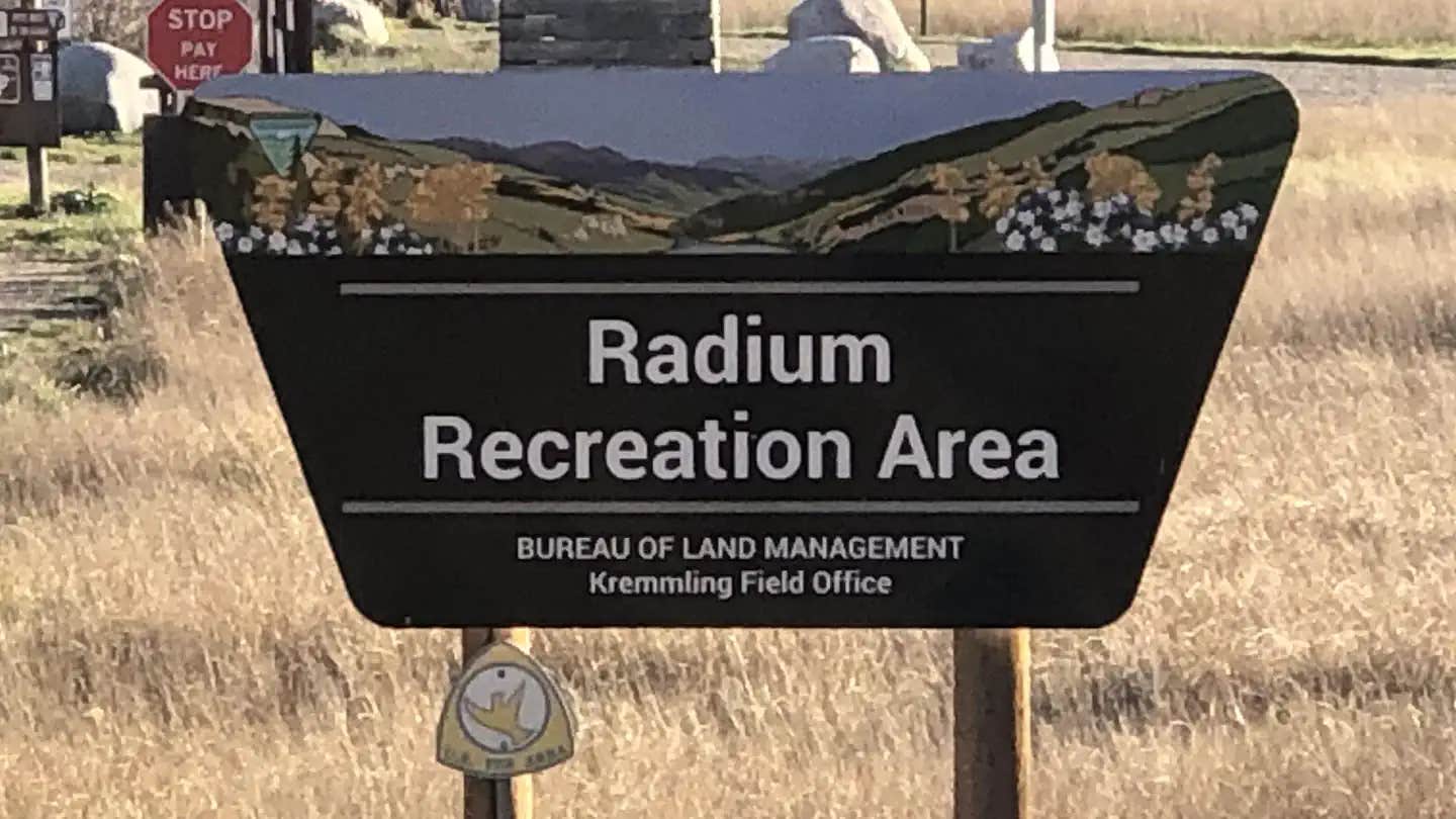 Camper submitted image from Radium Recreation Site - 1