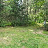 Review photo of Beech Hill Campground and Cabins by Jean C., August 19, 2019