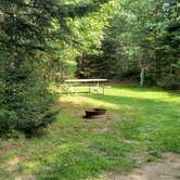 Review photo of Beech Hill Campground and Cabins by Jean C., August 19, 2019