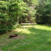 Review photo of Beech Hill Campground and Cabins by Jean C., August 19, 2019