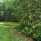 Review photo of Beech Hill Campground and Cabins by Jean C., August 19, 2019