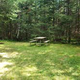 Review photo of Beech Hill Campground and Cabins by Jean C., August 19, 2019