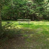 Review photo of Beech Hill Campground and Cabins by Jean C., August 19, 2019