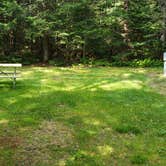 Review photo of Beech Hill Campground and Cabins by Jean C., August 19, 2019