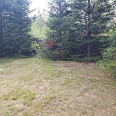 Review photo of Beech Hill Campground and Cabins by Jean C., August 19, 2019