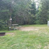 Review photo of Beech Hill Campground and Cabins by Jean C., August 19, 2019