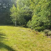 Review photo of Beech Hill Campground and Cabins by Jean C., August 19, 2019