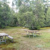 Review photo of Beech Hill Campground and Cabins by Jean C., August 19, 2019