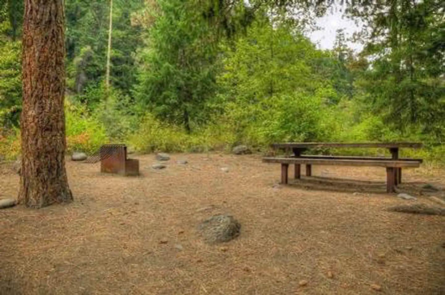 Camper submitted image from Willows Campground - 1