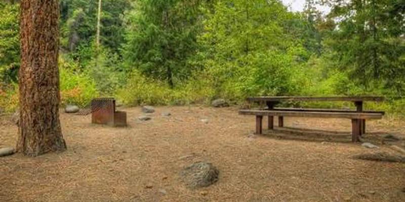 Camper submitted image from Willows Campground