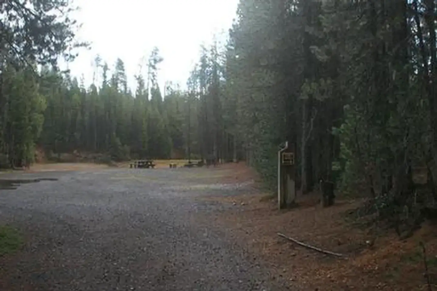 Camper-submitted photo at Umpqua National Forest Poole Creek Group Campground near Clearwater, OR