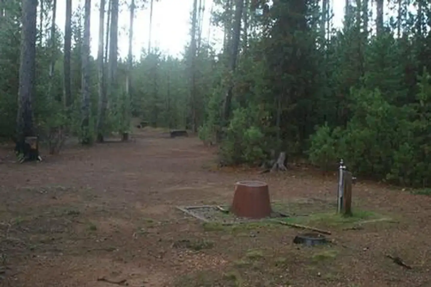 Camper-submitted photo at Umpqua National Forest Poole Creek Group Campground near Clearwater, OR