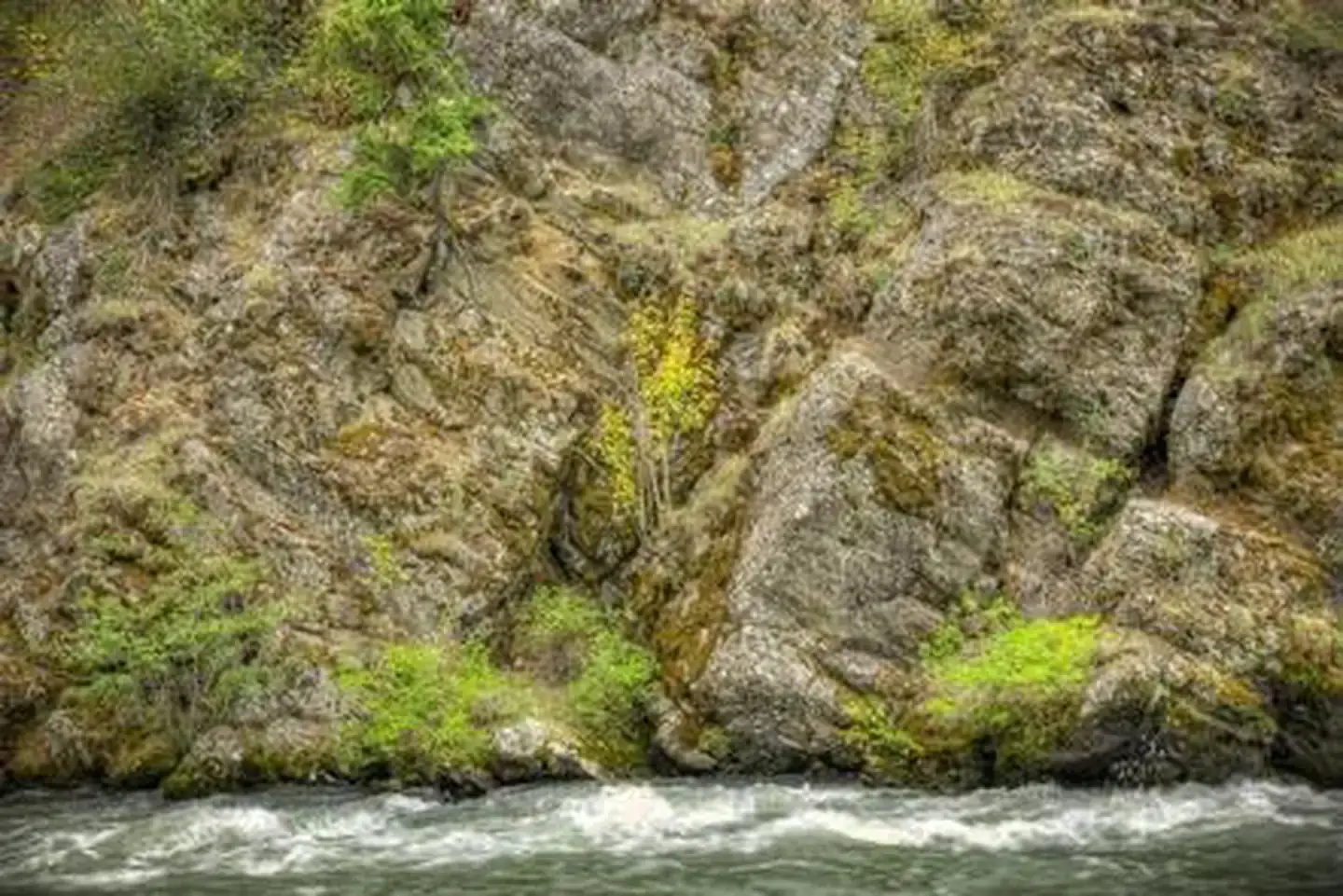 Camper-submitted photo at Willows Campground near White Swan, WA