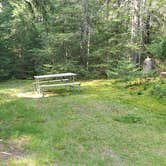 Review photo of Beech Hill Campground and Cabins by Jean C., August 19, 2019