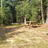 Review photo of Beech Hill Campground and Cabins by Jean C., August 19, 2019