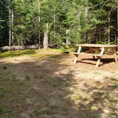 Review photo of Beech Hill Campground and Cabins by Jean C., August 19, 2019