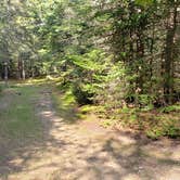 Review photo of Beech Hill Campground and Cabins by Jean C., August 19, 2019