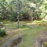 Review photo of Beech Hill Campground and Cabins by Jean C., August 19, 2019