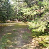 Review photo of Beech Hill Campground and Cabins by Jean C., August 19, 2019