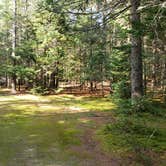 Review photo of Beech Hill Campground and Cabins by Jean C., August 19, 2019