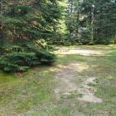 Review photo of Beech Hill Campground and Cabins by Jean C., August 19, 2019