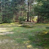 Review photo of Beech Hill Campground and Cabins by Jean C., August 19, 2019