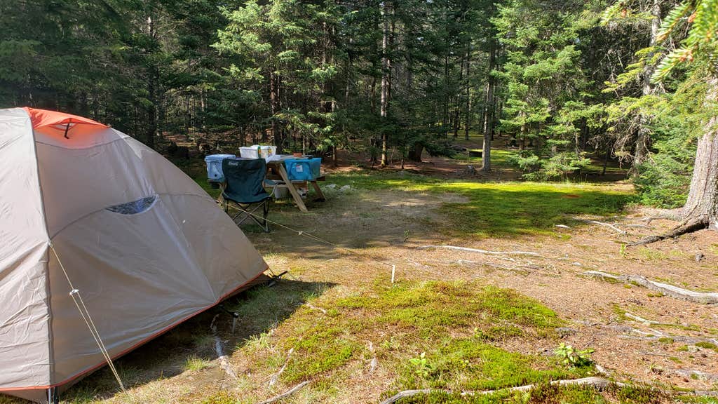 Jean C.'s photo at Beech Hill Campground and Cabins near Franconia, NH