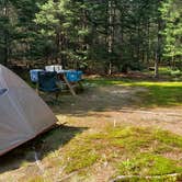 Review photo of Beech Hill Campground and Cabins by Jean C., August 19, 2019