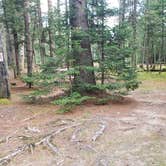 Review photo of Beech Hill Campground and Cabins by Jean C., August 19, 2019