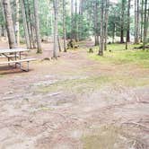 Review photo of Beech Hill Campground and Cabins by Jean C., August 19, 2019